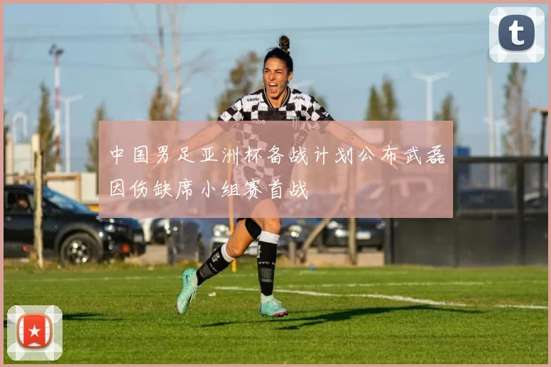 中国男足亚洲杯备战计划公布武磊因伤缺席小组赛首战