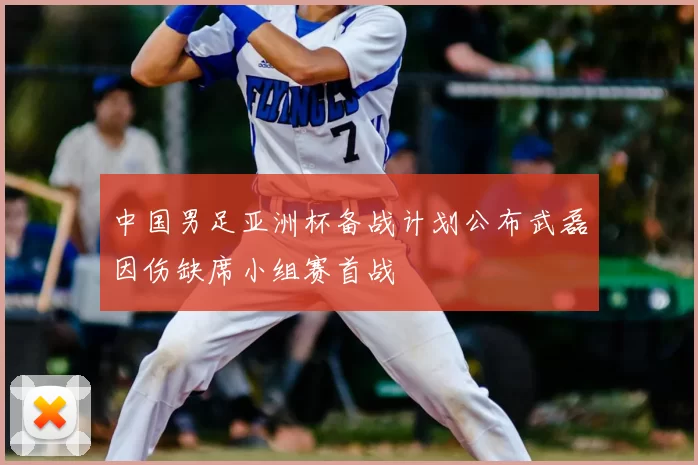 中国男足亚洲杯备战计划公布武磊因伤缺席小组赛首战