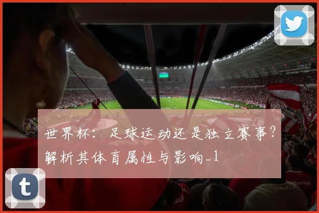 世界杯：足球运动还是独立赛事？解析其体育属性与影响_1