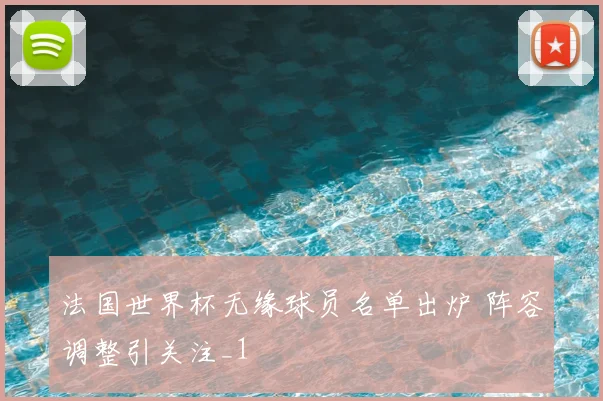 法国世界杯无缘球员名单出炉 阵容调整引关注_1