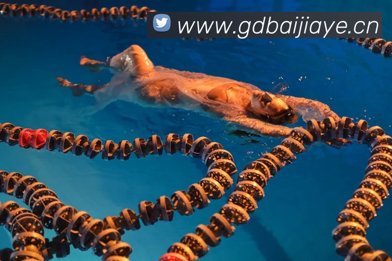 安博·app官网首页 - 安博(中国)服务体系